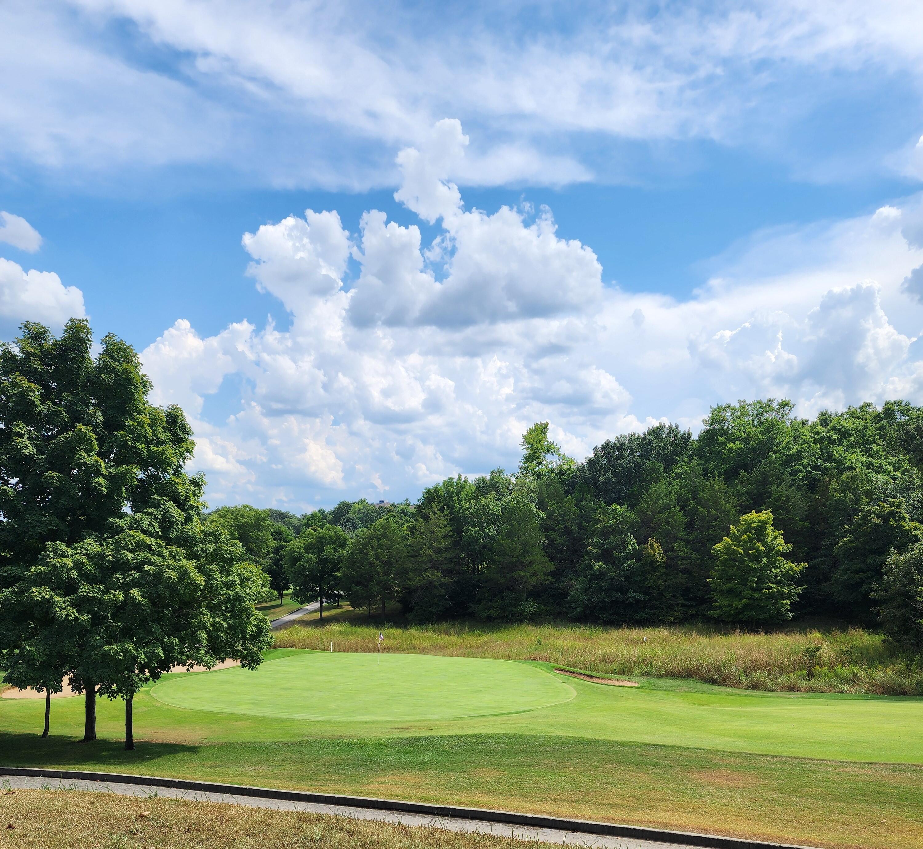 GOLF VIEW AREA
